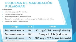 Plch, R., & Sarmanova, P. (2008). REV CHIL OBSTET GINECO. Epidemiología de la prematuridad, sus determinantes y
 