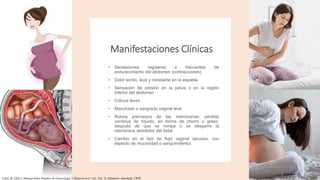 Manifestaciones Clínicas
• Sensaciones regulares o frecuentes de
endurecimiento del abdomen (contracciones)
• Dolor sordo, leve y constante en la espalda
• Sensación de presión en la pelvis o en la región
inferior del abdomen
• Cólicos leves
• Manchado o sangrado vaginal leve
• Rotura prematura de las membranas: pérdida
continua de líquido, en forma de chorro o goteo,
después de que se rompa o se desgarre la
membrana alrededor del bebé
• Cambio en el tipo de flujo vaginal (acuoso, con
aspecto de mucosidad o sanguinolento)
Chou, B. (2021). Manual Johns Hopkins de Ginecología Y Obstetricia (1.a ed., Vol. 3). baltimore, maryland: LWW.
 