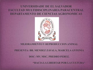UNIVERSIDADE DE EL SALVADOR
FACULTAD MULTIDISCIPLINARIA PARACENTRAL
DEPARTAMENTO DE CIENCIAS AGRONOMICAS

MEJORAMIENTO Y REPRODUCCION ANIMAL
PRESENTA: BR. MENDEZ ZAVALA, MARCELA ANTONIA

DOC: MV. MSC. PREDRO PEREZ.
“HACIA LA LIBERTAR POR LA CULTURA”

 