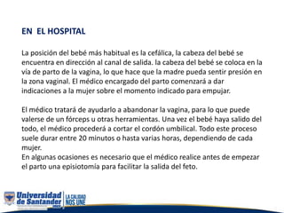EN EL HOSPITAL
La posición del bebé más habitual es la cefálica, la cabeza del bebé se
encuentra en dirección al canal de salida. la cabeza del bebé se coloca en la
vía de parto de la vagina, lo que hace que la madre pueda sentir presión en
la zona vaginal. El médico encargado del parto comenzará a dar
indicaciones a la mujer sobre el momento indicado para empujar.
El médico tratará de ayudarlo a abandonar la vagina, para lo que puede
valerse de un fórceps u otras herramientas. Una vez el bebé haya salido del
todo, el médico procederá a cortar el cordón umbilical. Todo este proceso
suele durar entre 20 minutos o hasta varias horas, dependiendo de cada
mujer.
En algunas ocasiones es necesario que el médico realice antes de empezar
el parto una episiotomía para facilitar la salida del feto.
 