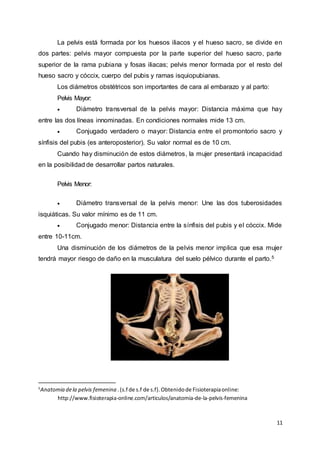 11
La pelvis está formada por los huesos iliacos y el hueso sacro, se divide en
dos partes: pelvis mayor compuesta por la parte superior del hueso sacro, parte
superior de la rama pubiana y fosas iliacas; pelvis menor formada por el resto del
hueso sacro y cóccix, cuerpo del pubis y ramas isquiopubianas.
Los diámetros obstétricos son importantes de cara al embarazo y al parto:
Pelvis Mayor:
 Diámetro transversal de la pelvis mayor: Distancia máxima que hay
entre las dos líneas innominadas. En condiciones normales mide 13 cm.
 Conjugado verdadero o mayor: Distancia entre el promontorio sacro y
sínfisis del pubis (es anteroposterior). Su valor normal es de 10 cm.
Cuando hay disminución de estos diámetros, la mujer presentará incapacidad
en la posibilidad de desarrollar partos naturales.
Pelvis Menor:
 Diámetro transversal de la pelvis menor: Une las dos tuberosidades
isquiáticas. Su valor mínimo es de 11 cm.
 Conjugado menor: Distancia entre la sínfisis del pubis y el cóccix. Mide
entre 10-11cm.
Una disminución de los diámetros de la pelvis menor implica que esa mujer
tendrá mayor riesgo de daño en la musculatura del suelo pélvico durante el parto.5
5
Anatomia dela pelvis femenina .(s.f de s.f de s.f).Obtenidode Fisioterapiaonline:
http://www.fisioterapia-online.com/articulos/anatomia-de-la-pelvis-femenina
 