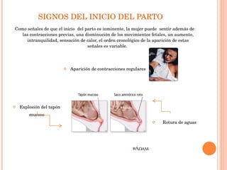 SIGNOS DEL INICIO DEL PARTO  Como señales de que el inicio  del parto es inminente, la mujer puede  sentir además de las contracciones previas, una disminución de los movimientos fetales, un aumento, intranquilidad, sensación de calor, el orden cronológico de la aparición de estas señales es variable.  Aparición de contracciones regulares Explosión del tapón  mucoso  Rotura de aguas 