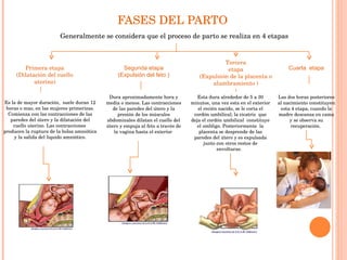 FASES DEL PARTO  Generalmente se considera que el proceso de parto se realiza en 4 etapas Primera etapa (Dilatación del cuello uterino) Segunda etapa (Expulsión del feto ) Tercera etapa (Expulsión de la placenta o alumbramiento ) Es la de mayor duración,  suele duran 12 horas o mas, en las mujeres primerizas. Comienza con las contracciones de las paredes del útero y la dilatación del cuello uterino. Las contracciones  producen la ruptura de la bolsa amniótica y la salida del liquido amniótico. Dura aproximadamente hora y media o menos. Las contracciones de las paredes del útero y la presión de los músculos abdominales dilatan el cuello del útero y empuja al feto a través de la vagina hasta el exterior  Esta dura alrededor de 5 a 30 minutos, una vez esta en el exterior el recién nacido, se le corta el cordón umbilical; la cicatriz  que deja el cordón umbilical  constituye el ombligo. Posteriormente  la placenta se desprende de las paredes del útero y es expulsada junto con otros restos de envolturas.  Cuarta  etapa Las dos horas posteriores al nacimiento constituyen esta 4 etapa, cuando la madre descansa en cama y se observa su recuperación.  