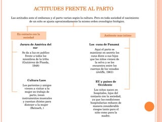 ACTITUDES FRENTE AL PARTO  Las actitudes ante el embarazo y el parto varían según la cultura. Pero en toda sociedad el nacimiento de un niño se ajusta aproximadamente la mismo orden cronológico biológico.  En contacto con la sociedad Jarara de América del sur  Se da a luz en publico frente a todos los miembros de la tribu (Gutiérrez de Pineda, 1948) Cultura Laos  Los parientes y amigos vienen a visitar a la mujer en trabajo de parto, tocan instrumentos musicales y cuentan chistes para distraer a la mujer  (Reinach, ) Ambiente mas intimo Los  cuna de Panamá  Aquí el parto se mantiene en secreto los cuna dicen a sus hijos que los niños vienen de la selva y se les encuentra entre los cuernos de los venados (Jeliffe, 1961) EU y países de Occidente  Los niños nacen en hospitales, lejos del contacto con la sociedad, ya que las condiciones hospitalarias reducen de manera considerable riesgos tanto para el niño como para la madre. 