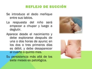 REFLEJO DE SUCCIÓN
Se introduce el dedo meñique
entre sus labios.
La respuesta del niño será
empezar a chupar y luego a
deglutir.
Aparece desde el nacimiento y
debe explorarse después de
una o dos horas de ayuno; en
los dos o tres primeros días
es débil, y debe desaparecer
al cuarto o quinto mes.
Su persistencia más allá de los
siete meses es patológica.
 