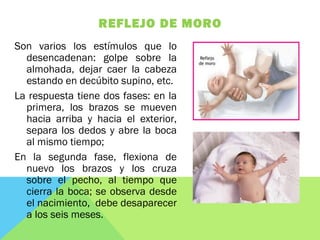REFLEJO DE MORO
Son varios los estímulos que lo
desencadenan: golpe sobre la
almohada, dejar caer la cabeza
estando en decúbito supino, etc.
La respuesta tiene dos fases: en la
primera, los brazos se mueven
hacia arriba y hacia el exterior,
separa los dedos y abre la boca
al mismo tiempo;
En la segunda fase, flexiona de
nuevo los brazos y los cruza
sobre el pecho, al tiempo que
cierra la boca; se observa desde
el nacimiento, debe desaparecer
a los seis meses.
 