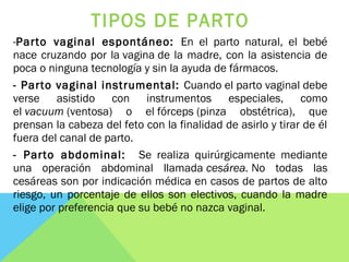 TIPOS DE PARTO
-Parto vaginal espontáneo: En el parto natural, el bebé
nace cruzando por la vagina de la madre, con la asistencia de
poca o ninguna tecnología y sin la ayuda de fármacos. 
- Parto vaginal instrumental: Cuando el parto vaginal debe
verse asistido con instrumentos especiales, como
el vacuum (ventosa) o el fórceps (pinza obstétrica), que
prensan la cabeza del feto con la finalidad de asirlo y tirar de él
fuera del canal de parto.
- Parto abdominal: Se realiza quirúrgicamente mediante
una operación abdominal llamada cesárea. No todas las
cesáreas son por indicación médica en casos de partos de alto
riesgo, un porcentaje de ellos son electivos, cuando la madre
elige por preferencia que su bebé no nazca vaginal.
 
