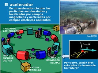 El acelerador   foto CERN   Por cierto, ¿están bien colocados los imanes de herradura? En un acelerador circular las partículas son desviadas y focalizadas por campos magnéticos y aceleradas por campos eléctricos oscilantes 