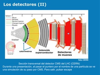 Los detectores (II) foto CERN   Sección transversal del detector CMS del LHC (CERN) Durante una presentación, al pasar el puntero por el nombre de una partícula se ve una simulación de su paso por CMS. Para salir, pulsar escape Detectores  de muones Solenoide superconductor calorímetros tracker 