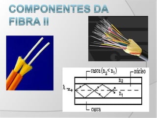 Componentes da Fibra II