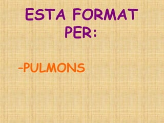 ESTA FORMAT PER: PULMONS 