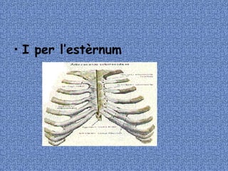 I per l’estèrnum 