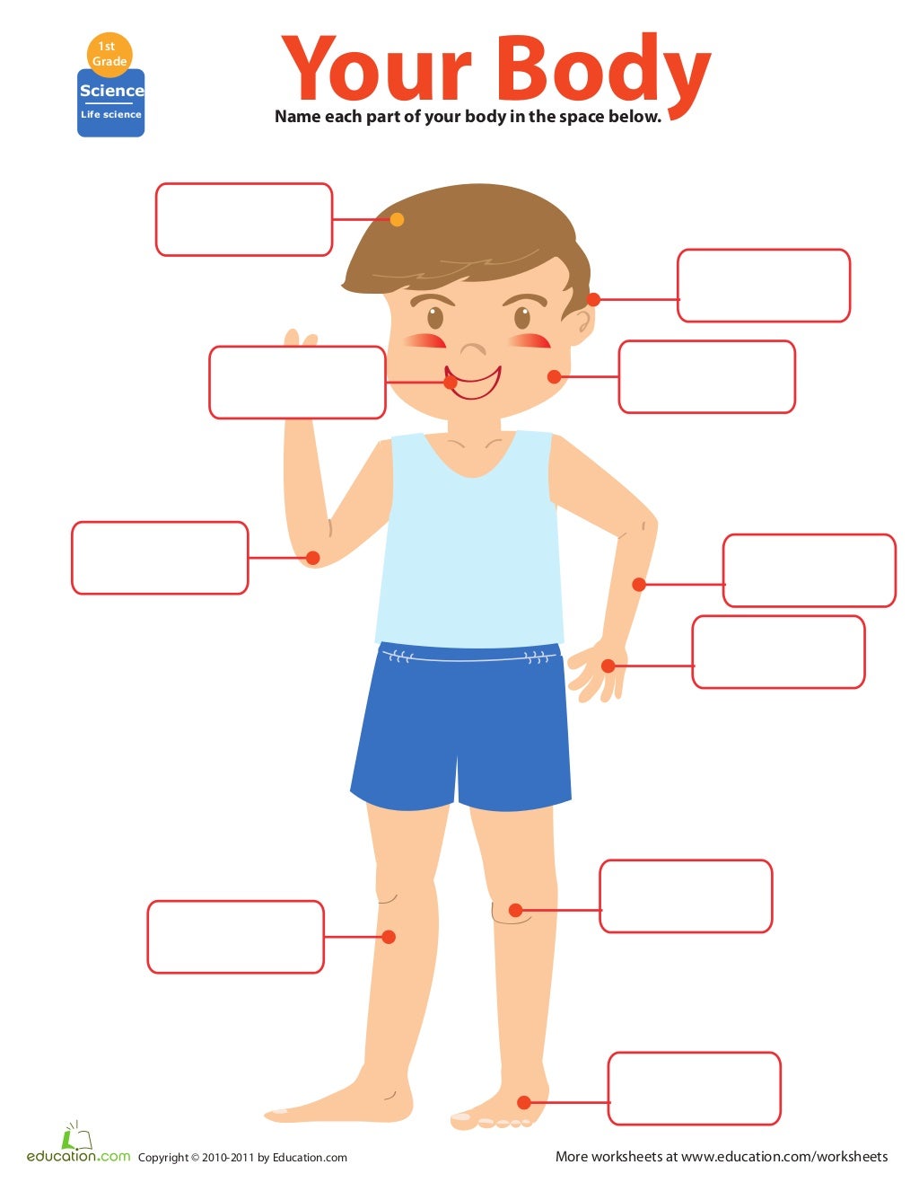 Body Parts