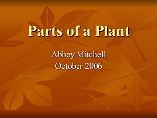 Parts of a Plant Abbey Mitchell October 2006 