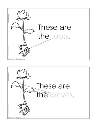 Perfect Plant Root Worksheet.pdf Parts of-a-plant | PDF
