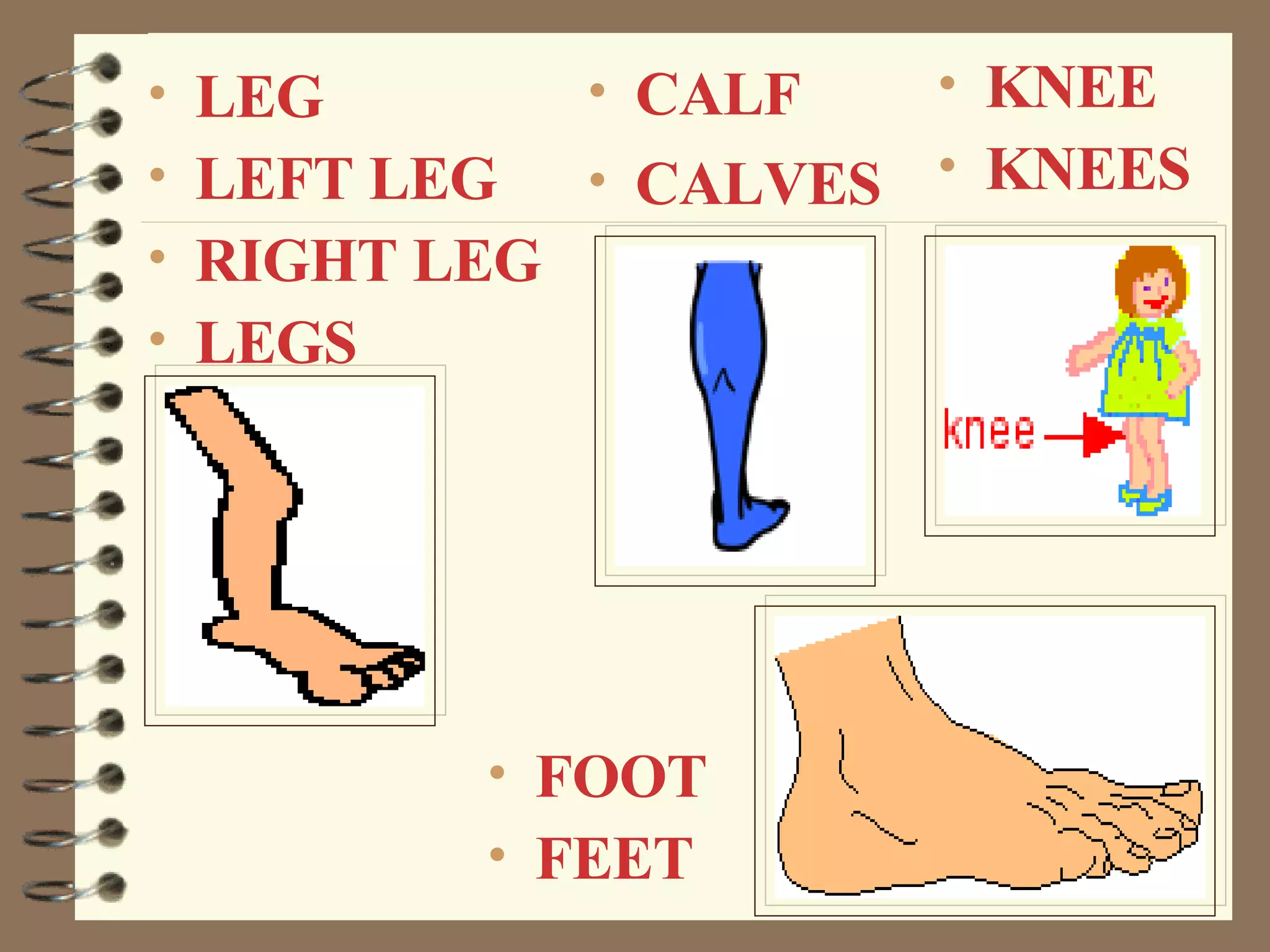 Parts of the Body | PPT
