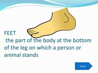 FEET
the part of the body at the bottom
of the leg on which a person or
animal stands
home
 