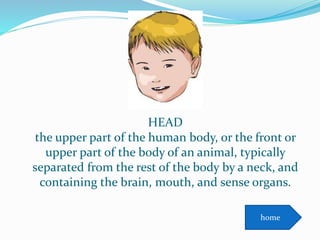 HEAD
the upper part of the human body, or the front or
upper part of the body of an animal, typically
separated from the rest of the body by a neck, and
containing the brain, mouth, and sense organs.
home
 