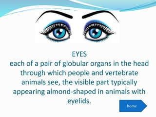 EYES
each of a pair of globular organs in the head
through which people and vertebrate
animals see, the visible part typically
appearing almond-shaped in animals with
eyelids.
home
 