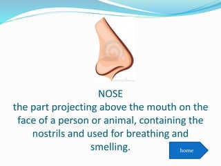 NOSE
the part projecting above the mouth on the
face of a person or animal, containing the
nostrils and used for breathing and
smelling. home
 