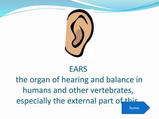 EARS
the organ of hearing and balance in
humans and other vertebrates,
especially the external part of this.
home
 