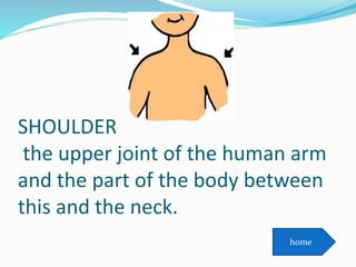 SHOULDER
the upper joint of the human arm
and the part of the body between
this and the neck.
home
 