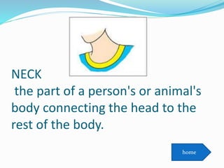 NECK
the part of a person's or animal's
body connecting the head to the
rest of the body.
home
 