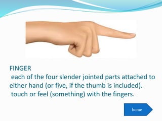 FINGER
each of the four slender jointed parts attached to
either hand (or five, if the thumb is included).
touch or feel (something) with the fingers.
home
 