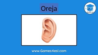 Ear In Spanish Parts-Of-The-Body-PPT(2).pptx spanish class | PPTX