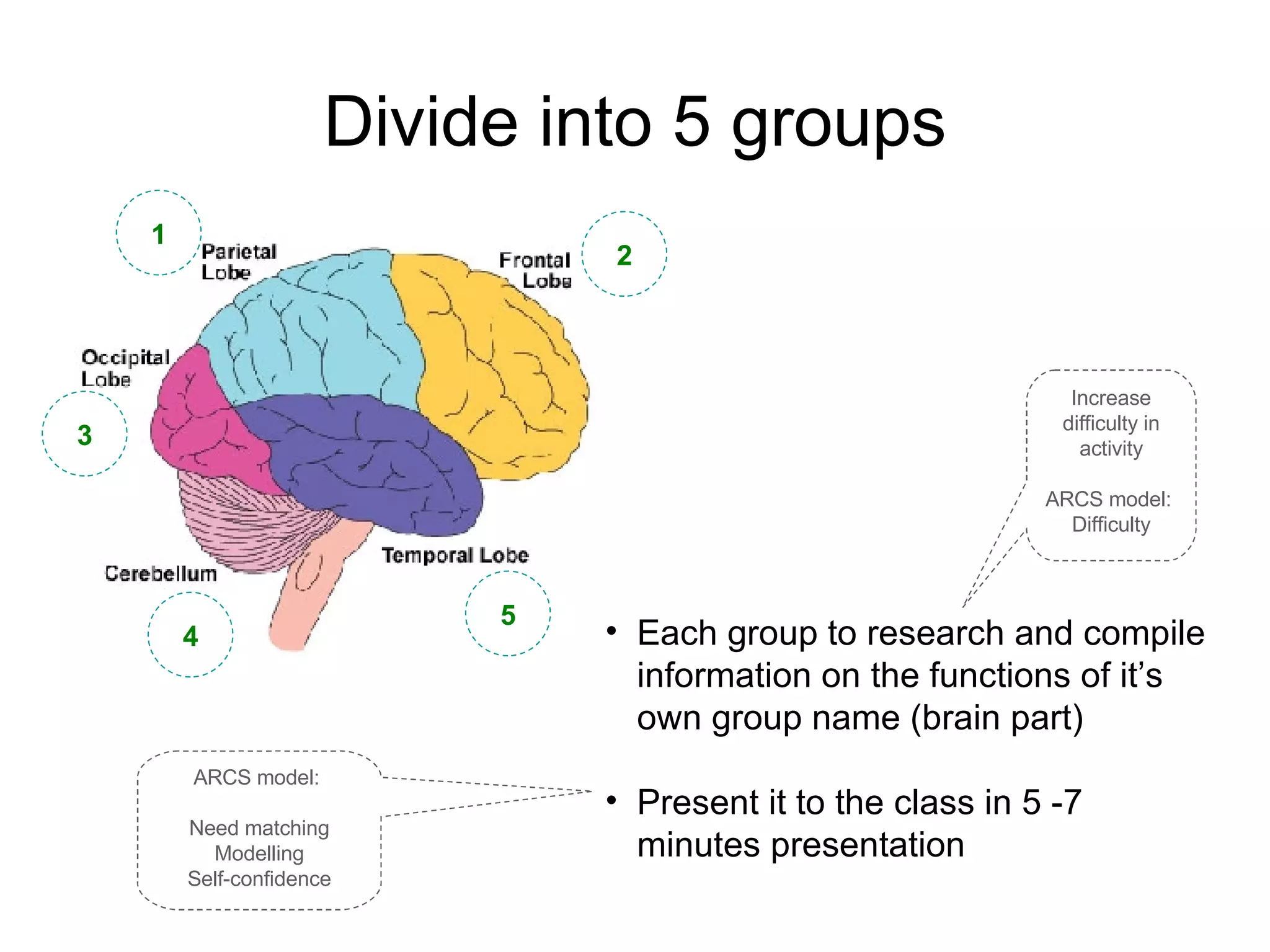 Parts Of The Brain | PPT