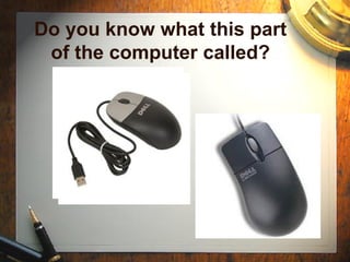 Do you know what this part of the computer called? 