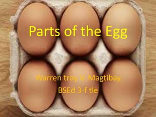 Parts of the Egg
Warren troy V. Magtibay
BSEd 3-f tle
 