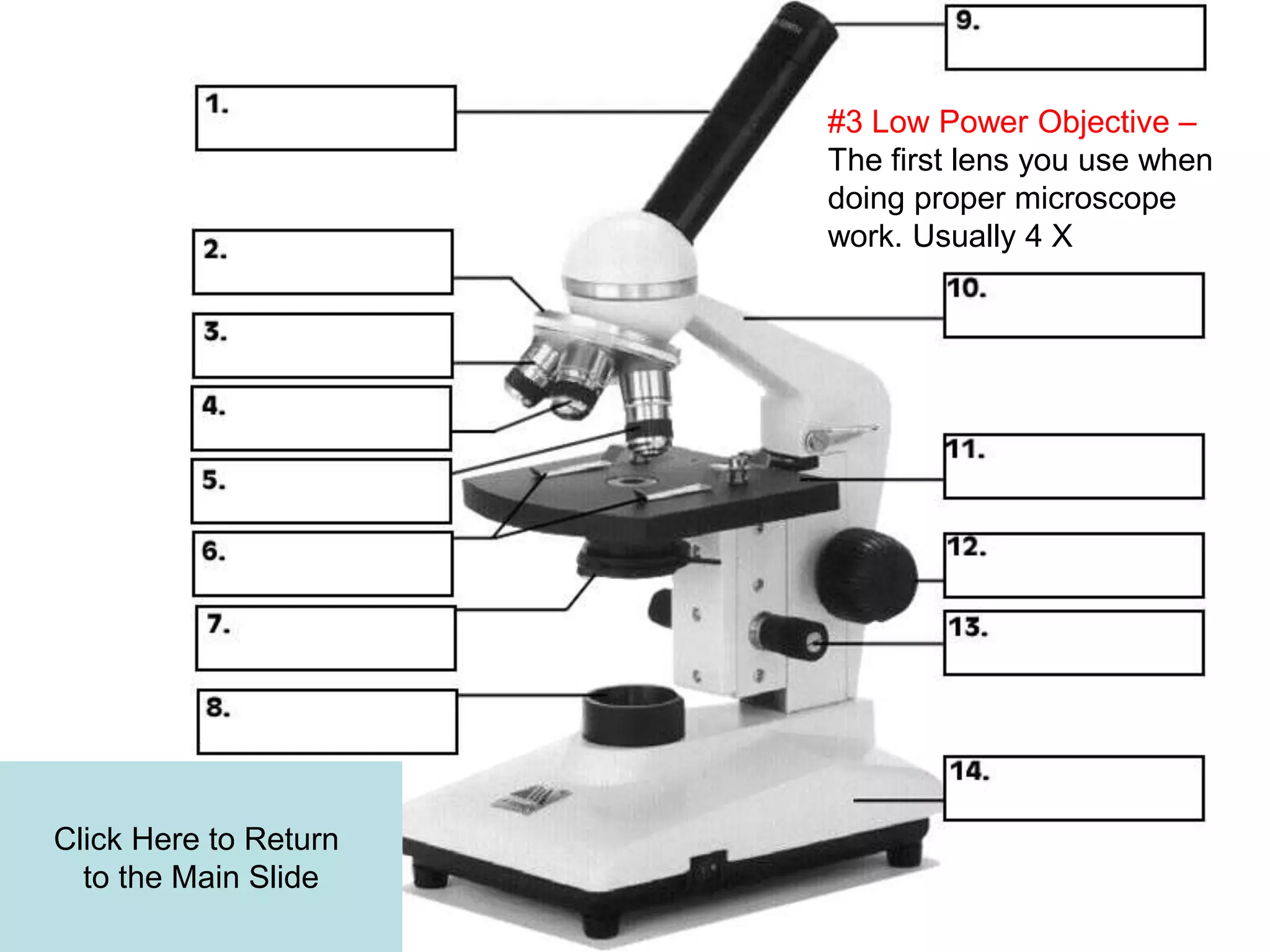 Click Here to Return
to the Main Slide
#3 Low Power Objective –
The first lens you use when
doing proper microscope
work. Usually 4 X
 