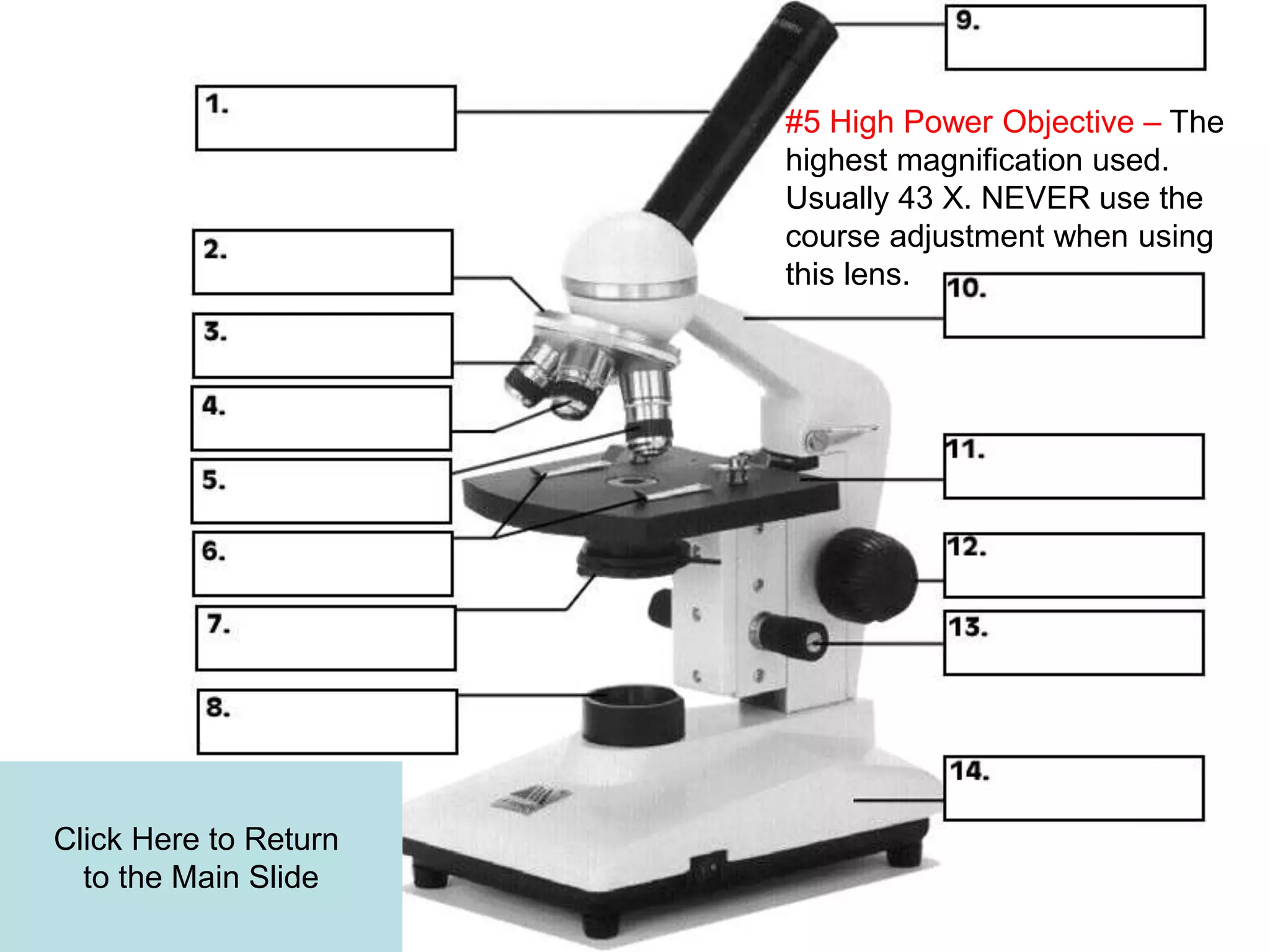 Click Here to Return
to the Main Slide
#5 High Power Objective – The
highest magnification used.
Usually 43 X. NEVER use the
course adjustment when using
this lens.
 
