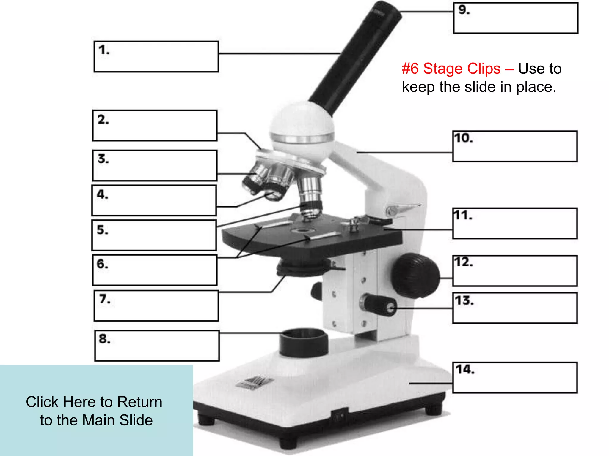Click Here to Return
to the Main Slide
#6 Stage Clips – Use to
keep the slide in place.
 