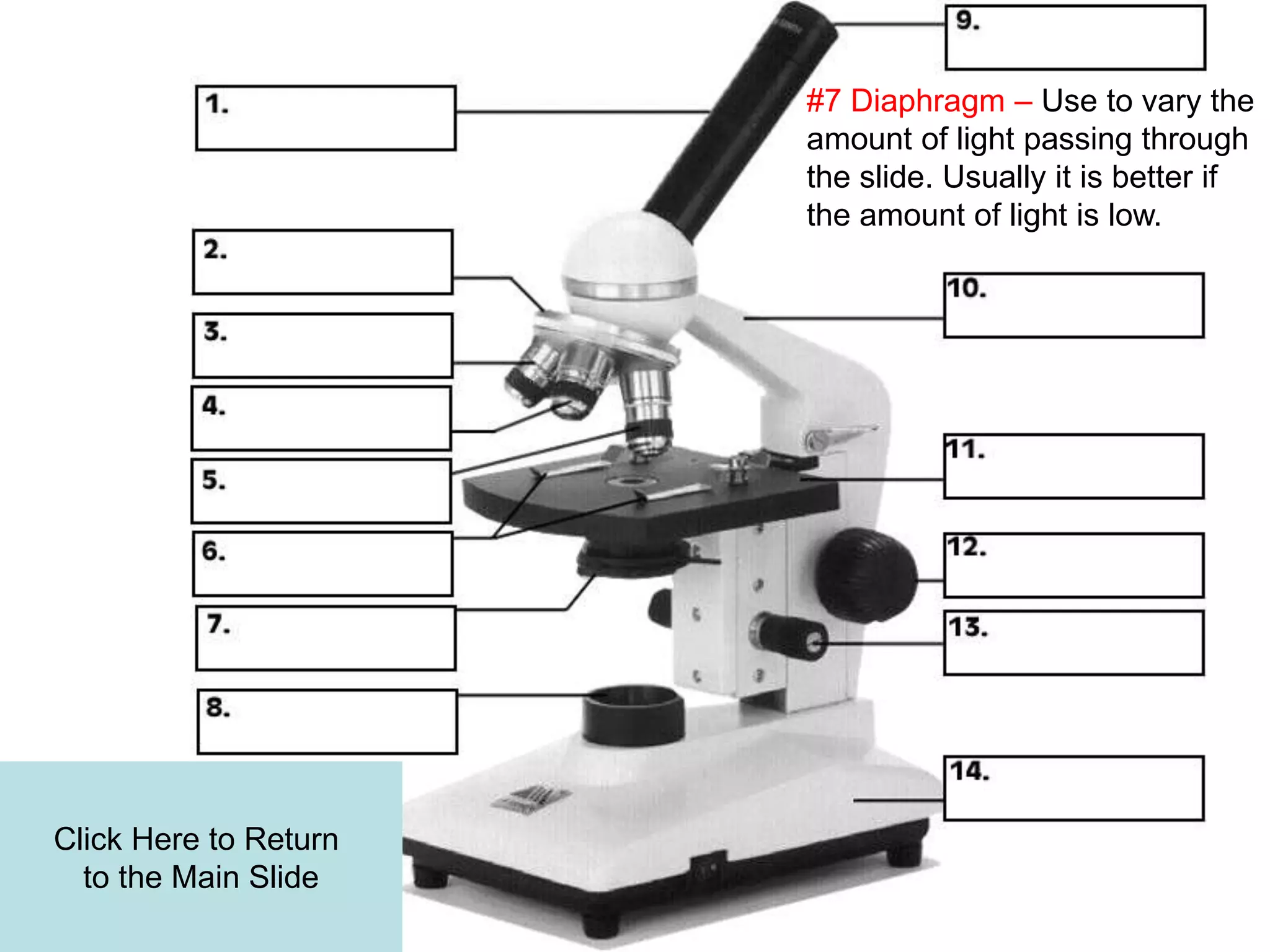 Click Here to Return
to the Main Slide
#7 Diaphragm – Use to vary the
amount of light passing through
the slide. Usually it is better if
the amount of light is low.
 