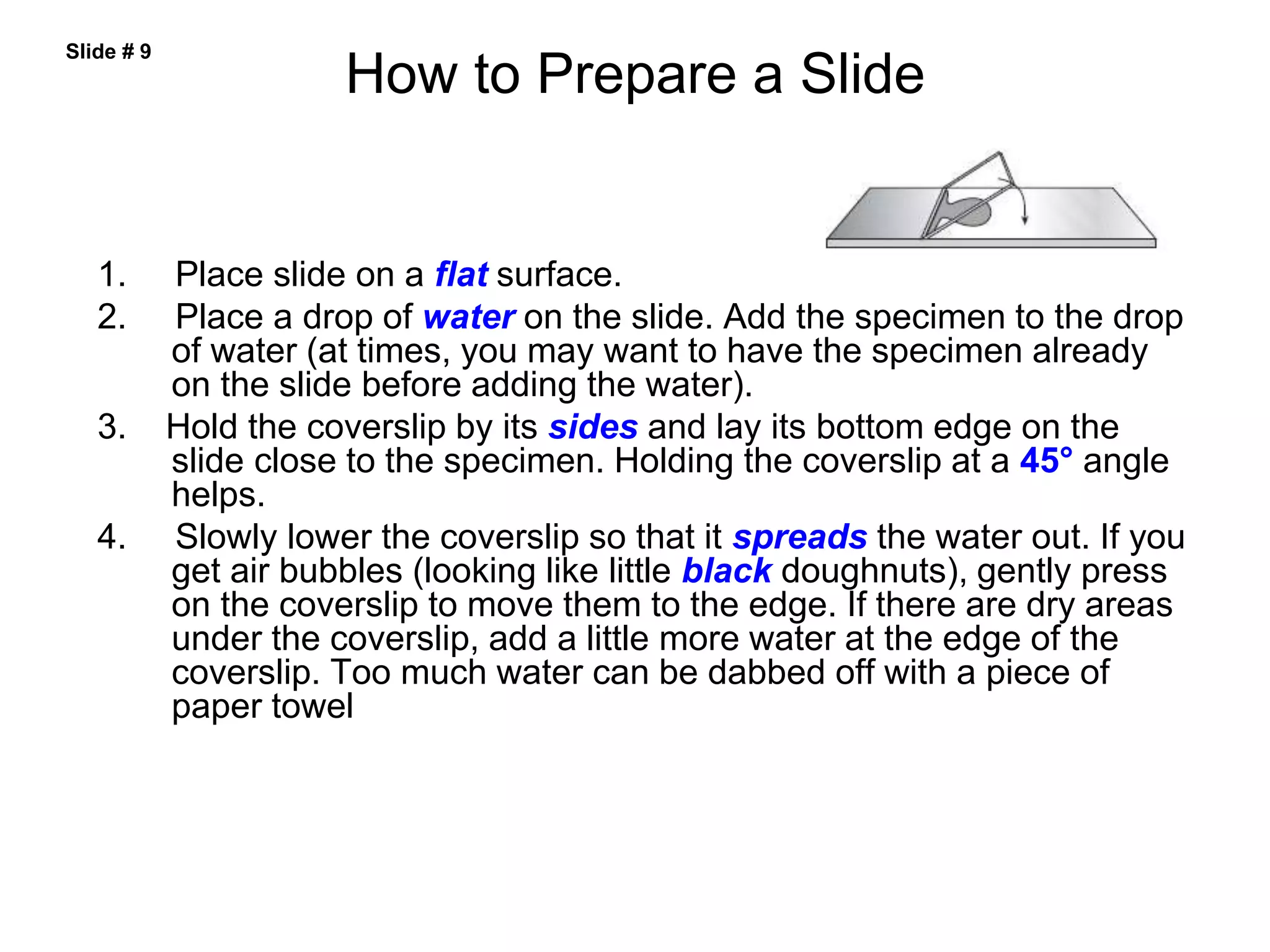 How to Prepare a Slide
1. Place slide on a flat surface.
2. Place a drop of water on the slide. Add the specimen to the drop
of water (at times, you may want to have the specimen already
on the slide before adding the water).
3. Hold the coverslip by its sides and lay its bottom edge on the
slide close to the specimen. Holding the coverslip at a 45° angle
helps.
4. Slowly lower the coverslip so that it spreads the water out. If you
get air bubbles (looking like little black doughnuts), gently press
on the coverslip to move them to the edge. If there are dry areas
under the coverslip, add a little more water at the edge of the
coverslip. Too much water can be dabbed off with a piece of
paper towel
Slide # 9
 