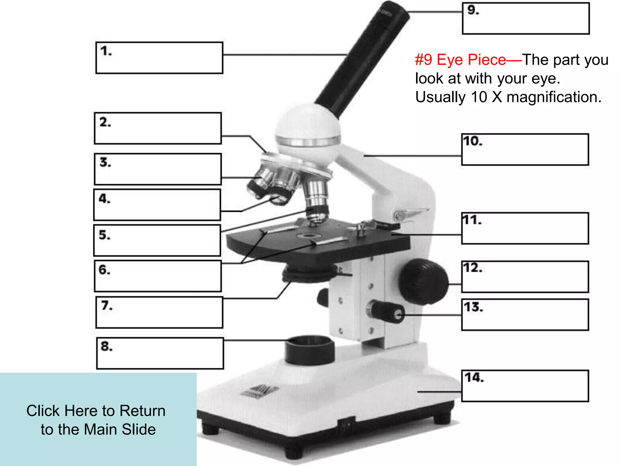 #9 Eye Piece—The part you
look at with your eye.
Usually 10 X magnification.
Click Here to Return
to the Main Slide
 