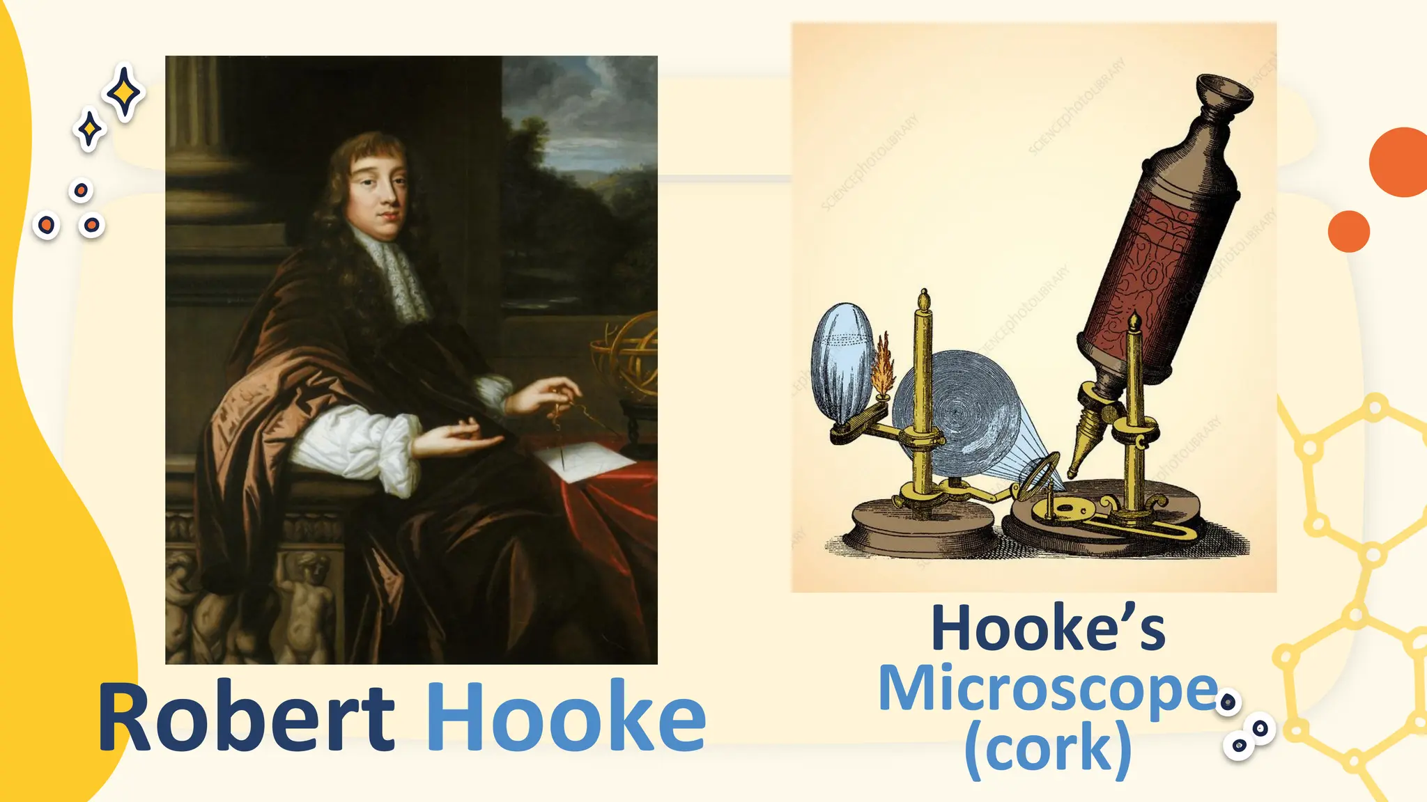 Robert Hooke
Hooke’s
Microscope
(cork)
 