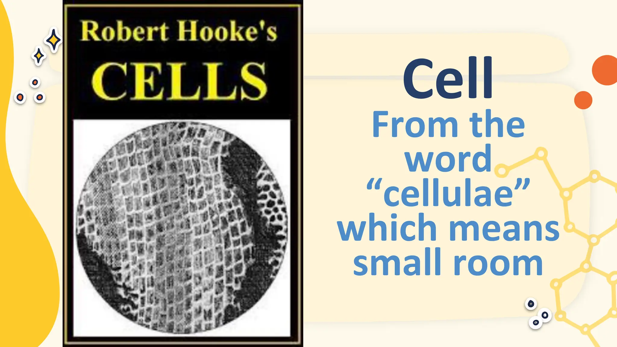 Cell
From the
word
“cellulae”
which means
small room
 