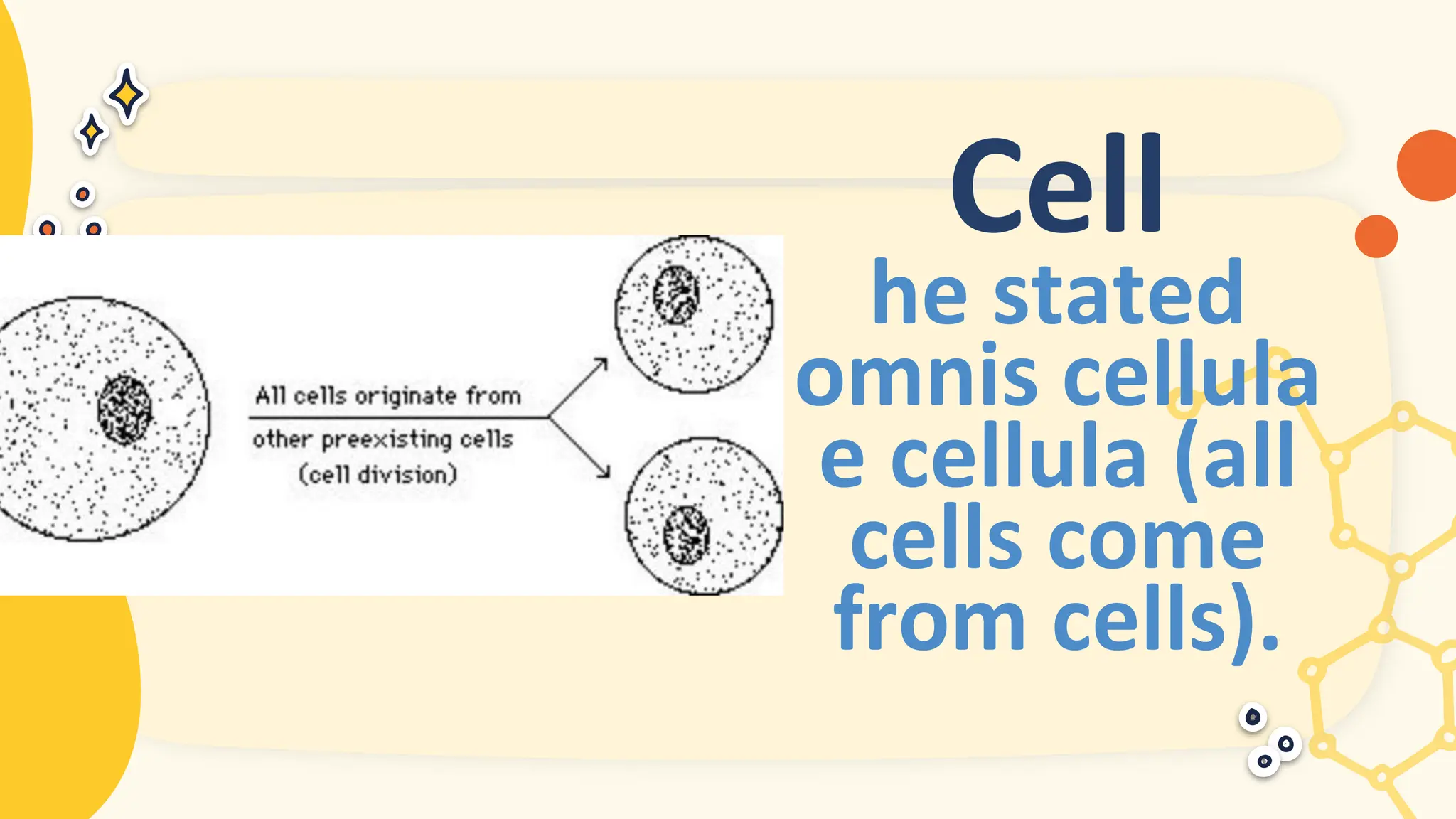Cell
he stated
omnis cellula
e cellula (all
cells come
from cells).
 