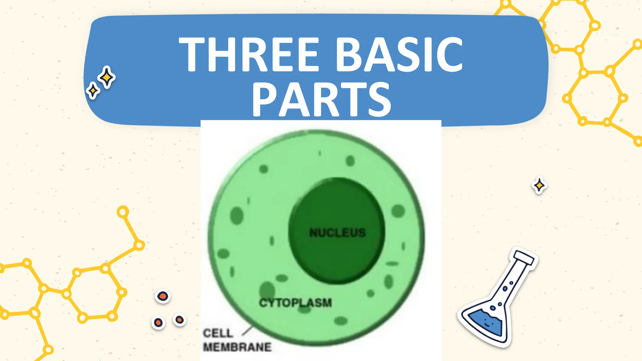 THREE BASIC
PARTS
 