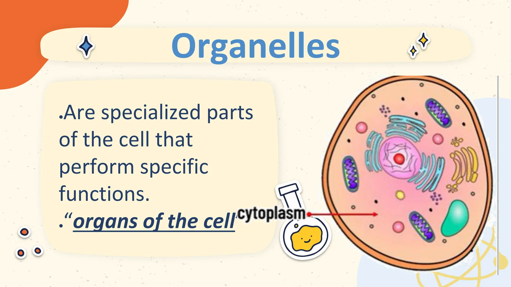 Organelles
 