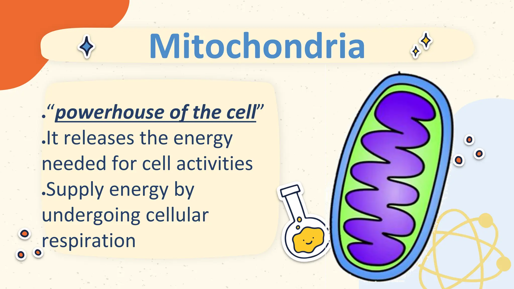 Mitochondria
 