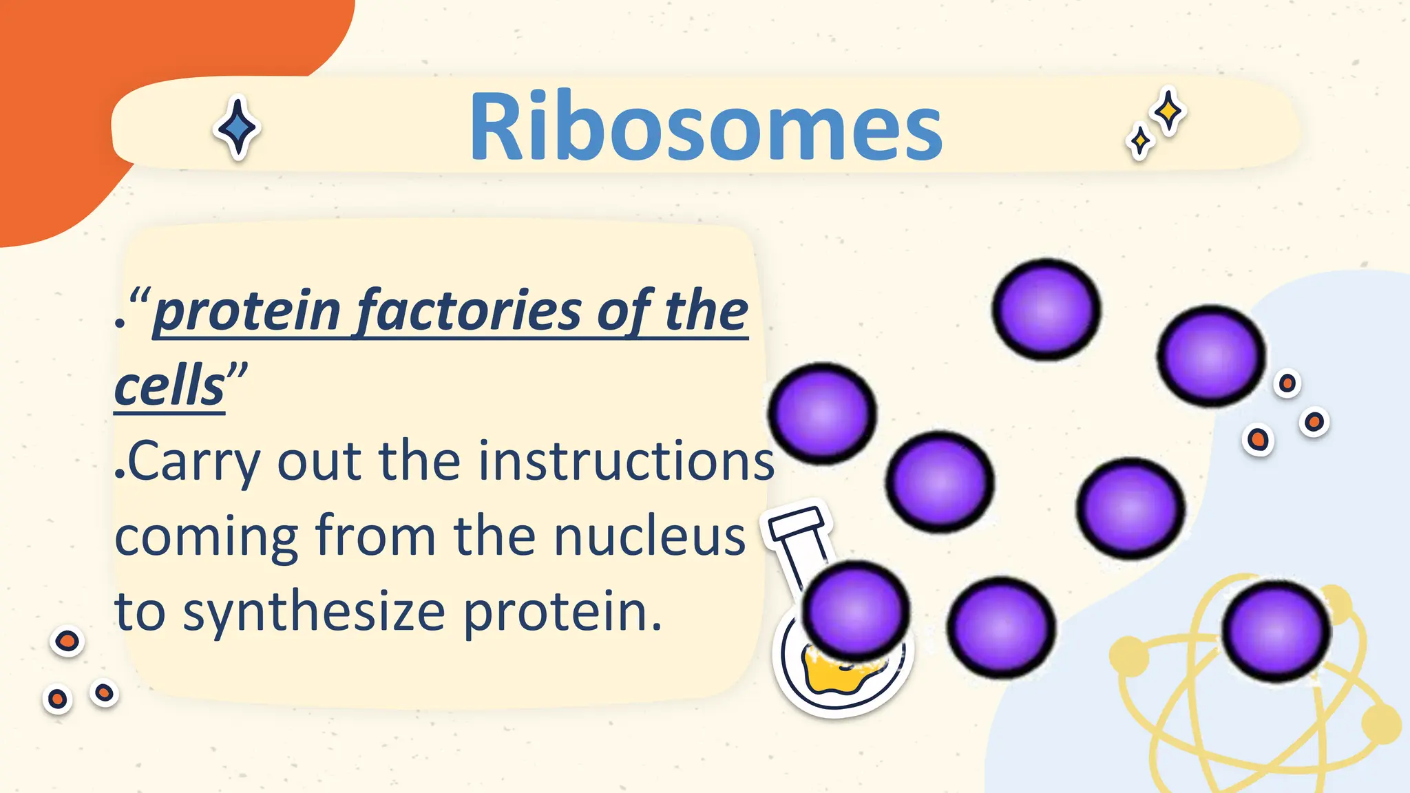 Ribosomes
 