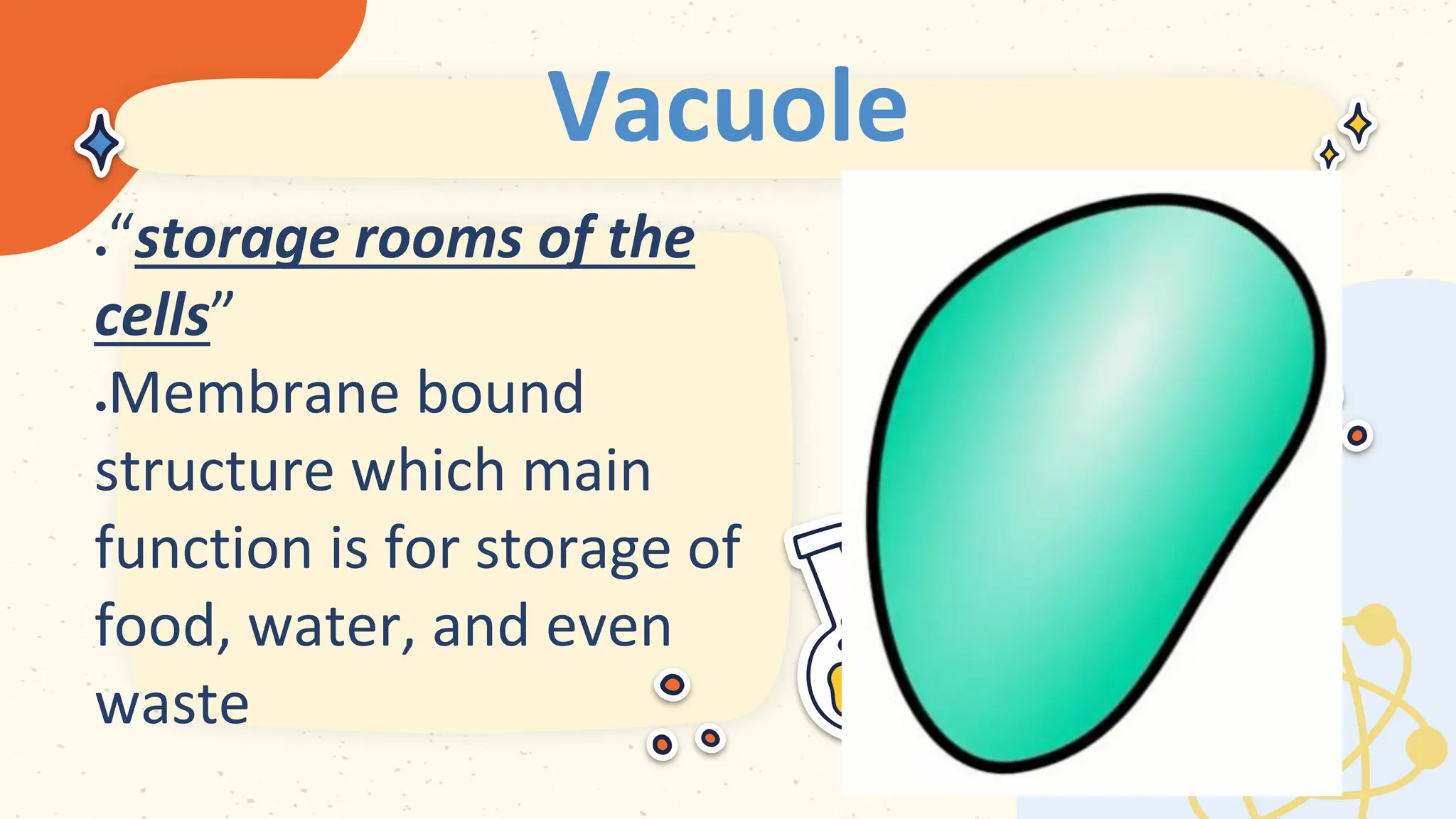 Vacuole
 