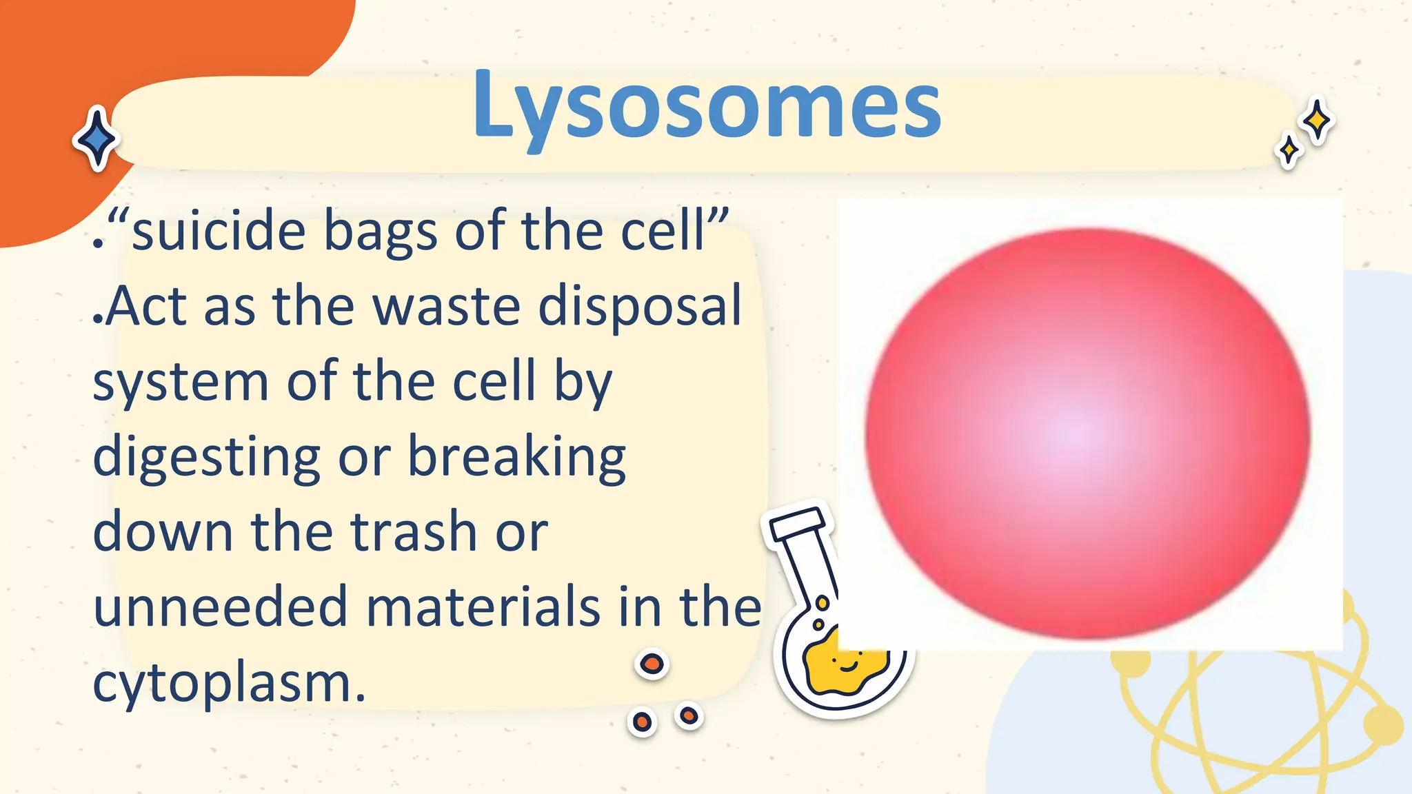 Lysosomes
 