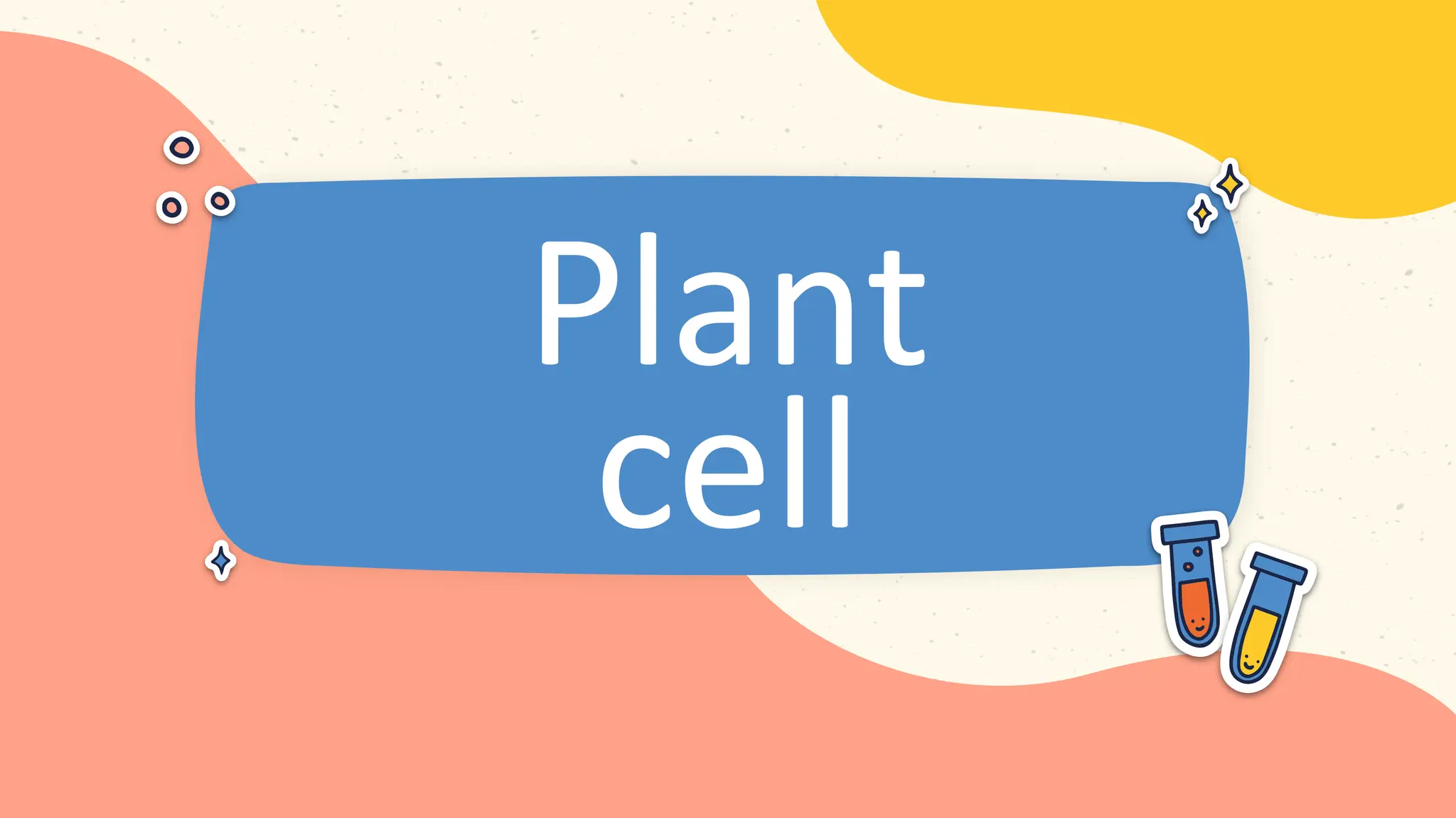 Plant
cell
 