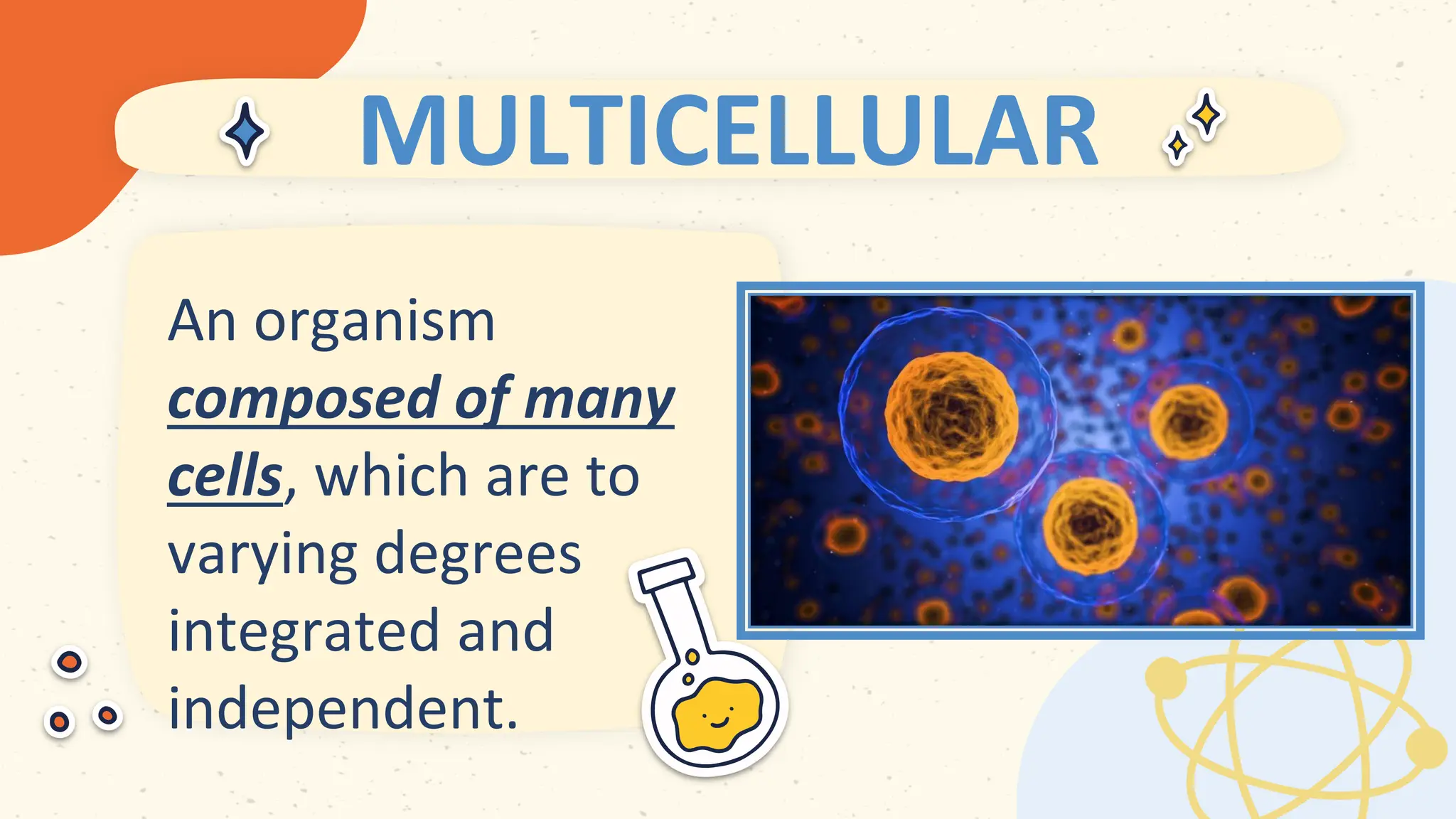 MULTICELLULAR
 