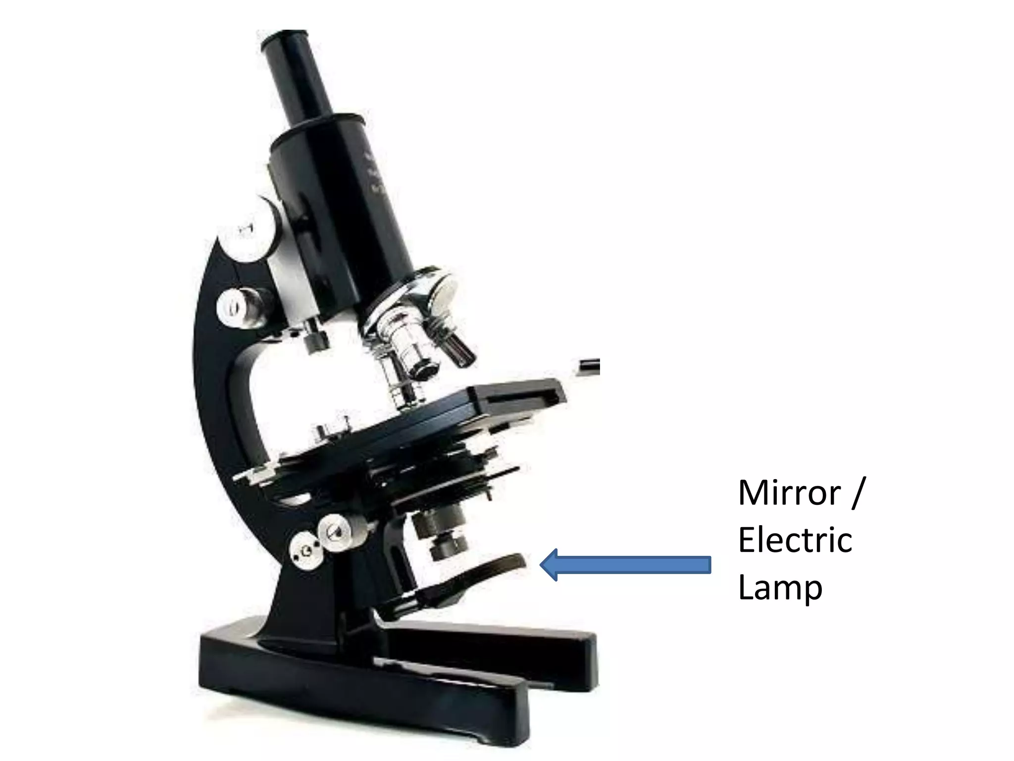 Mirror /
Electric
Lamp
 